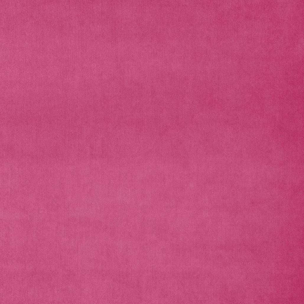 Englesson Pink Omega #Variant_Pink
